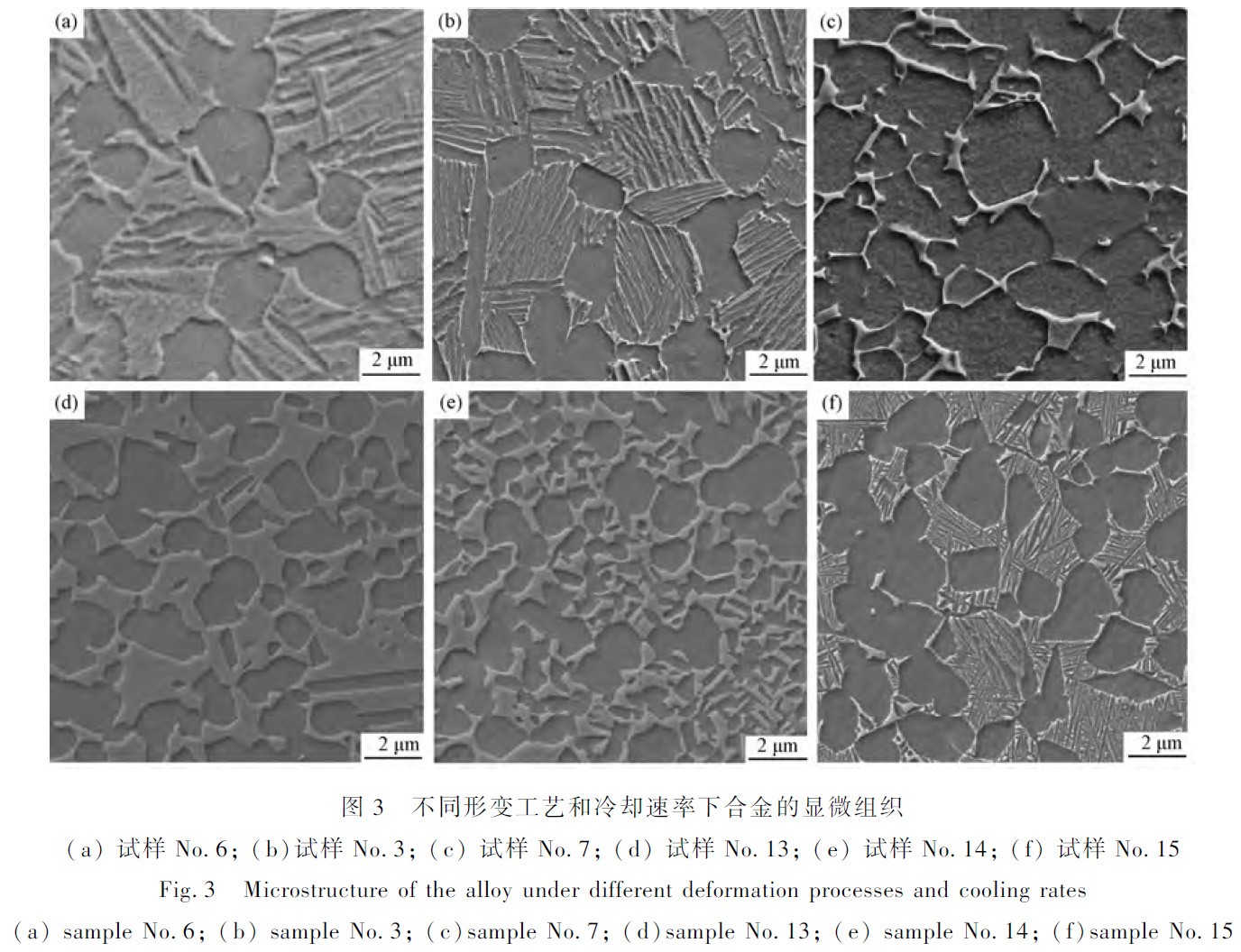 1672148287134496.jpg t3.jpg