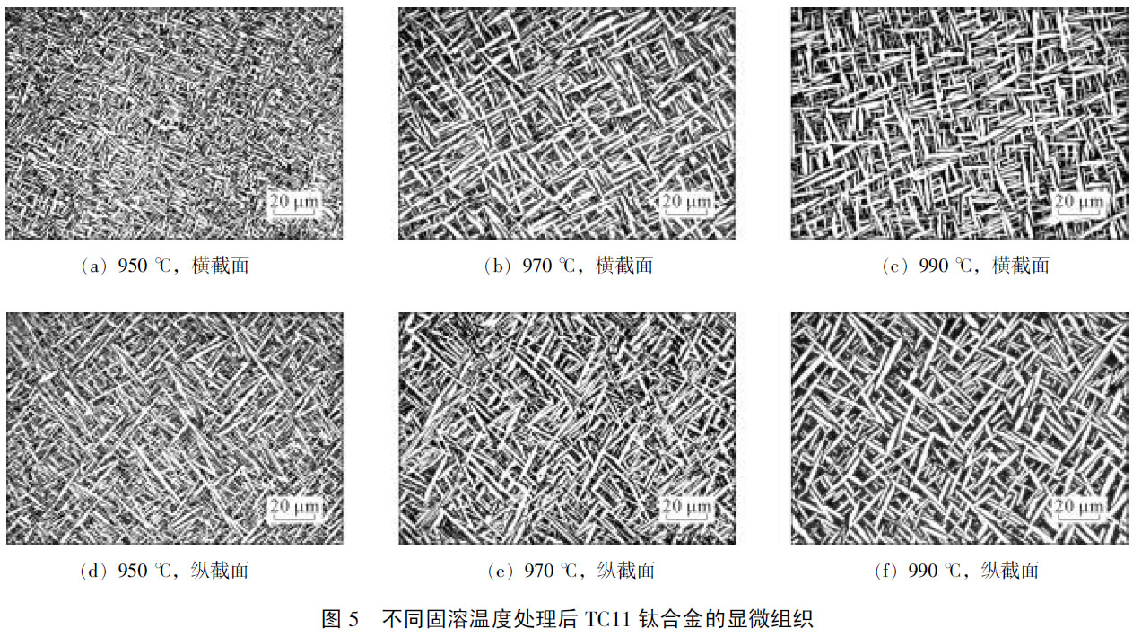 1677898425308220.jpg t5.jpg